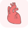 Circulatory