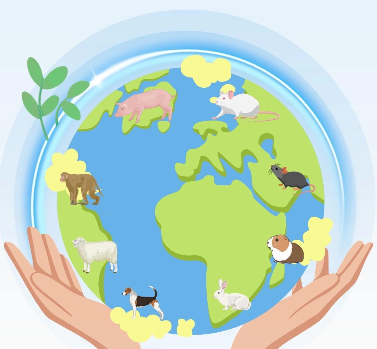 Animal Models in Biomedical Research: How to Choose the Best Model for Your Study