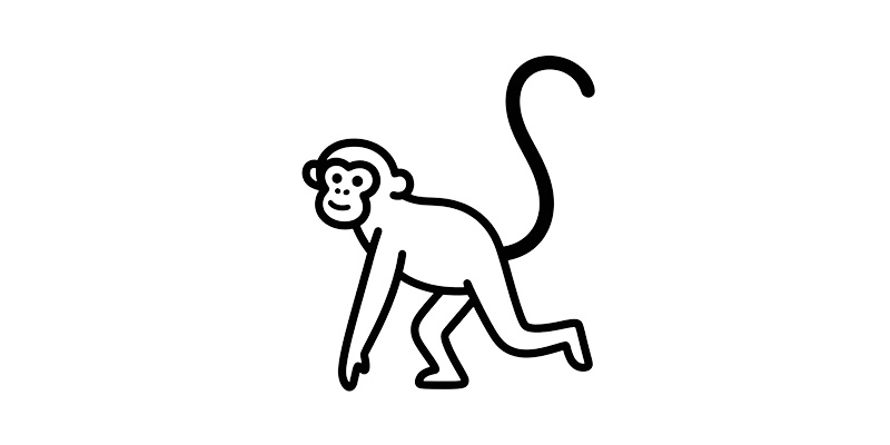 Non-Human Primates Model: The Indispensable Guardians of Preclinical Safety