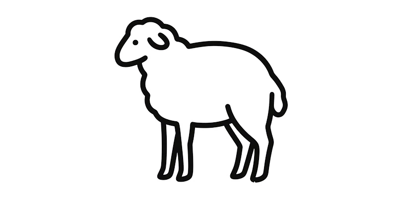 Sheep Models: A Trusted Bridge from Lab to Clinic in Preclinical Research