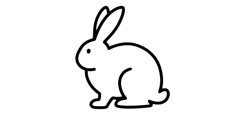 Rabbit Models in Biomedical Research: Strategic Insights for IND-Enabling Studies and Device Evaluation