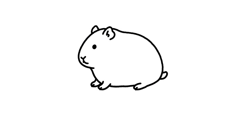 Guinea Pig Models: A High-Fidelity Translational Bridge for Immunology and Respiratory Research