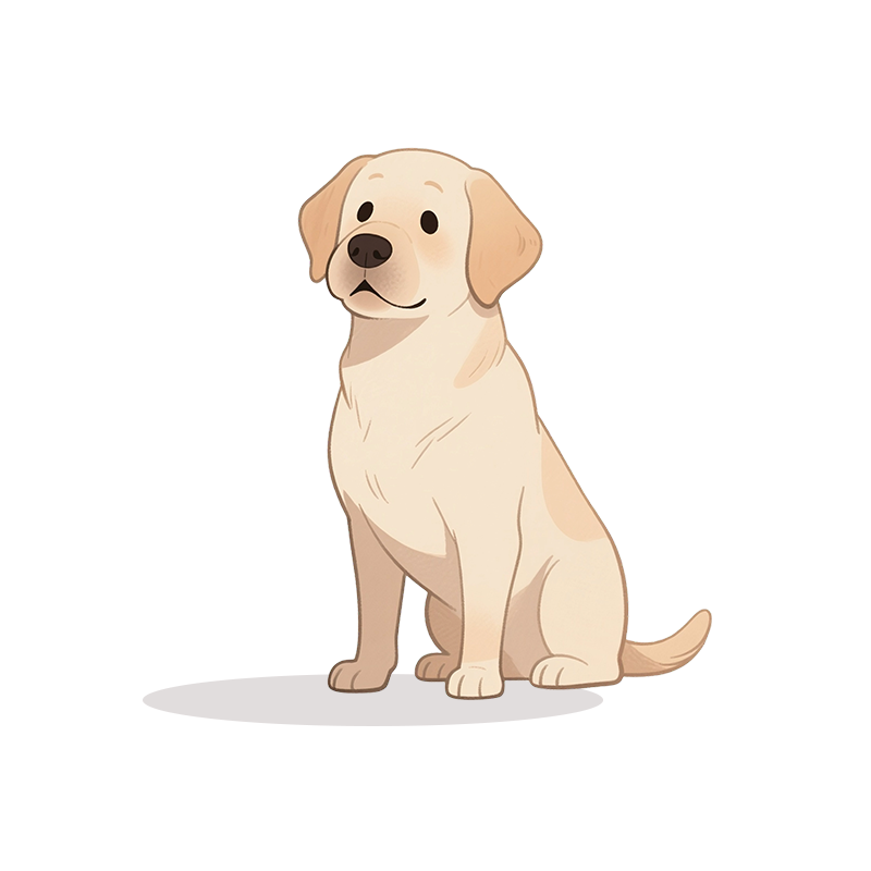 Gene-edited Rabbit Model