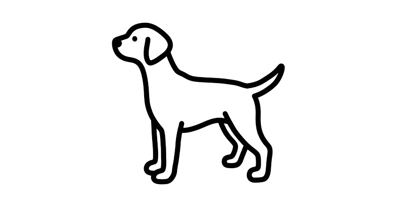 Canine Models in Biomedical Research: Strategic Insights for IND-Enabling Studies and Medical Device Evaluation