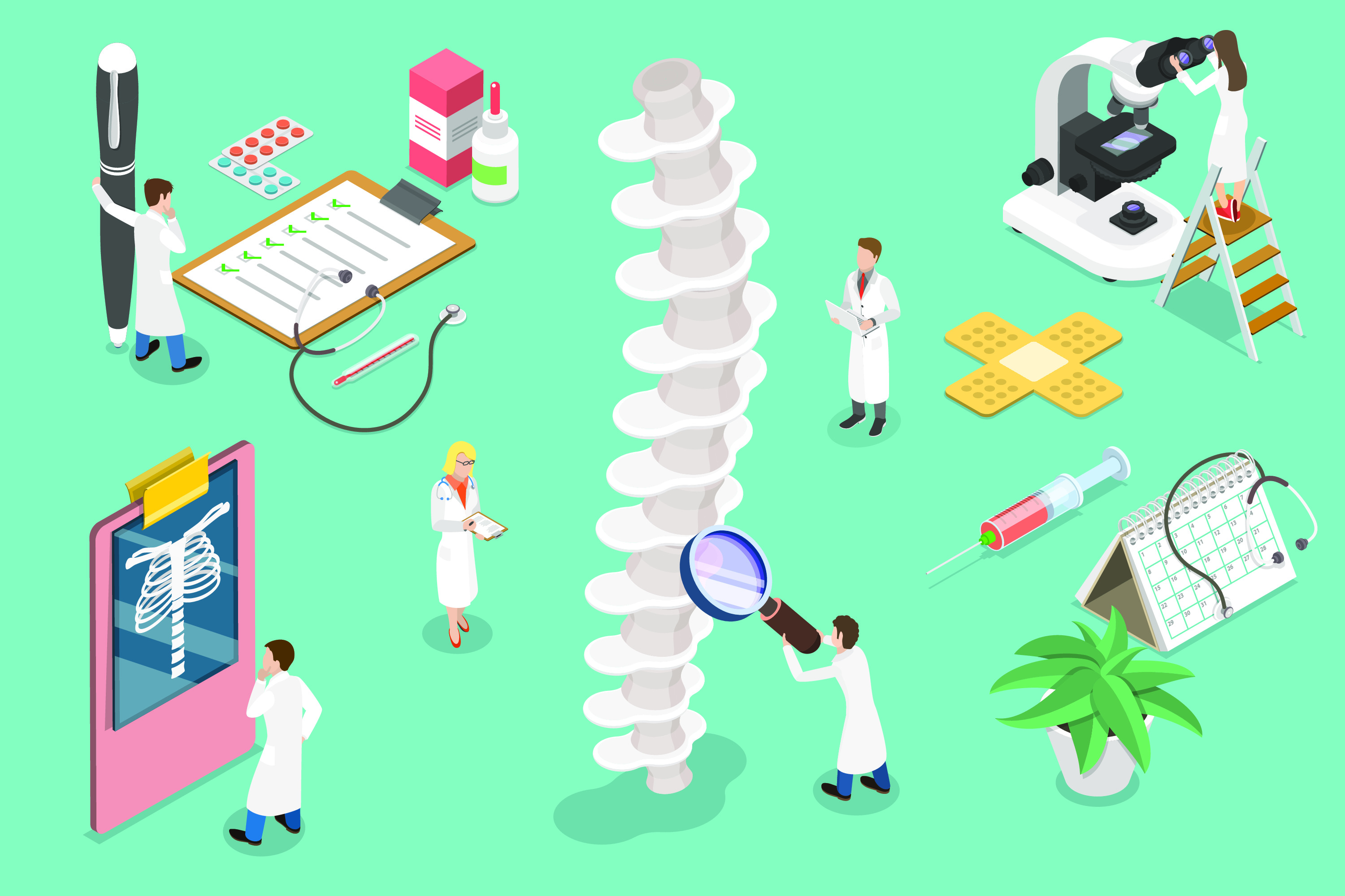 Bridging the Gap: The Critical Role of Large Animal Models in Bone Scaffold Biocompatibility Testing