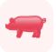 Genetically Edited pig