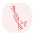 Gene Edited Model