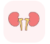 urinary