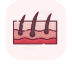 Dermatology