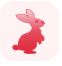 Genetically Edited Rabbit
