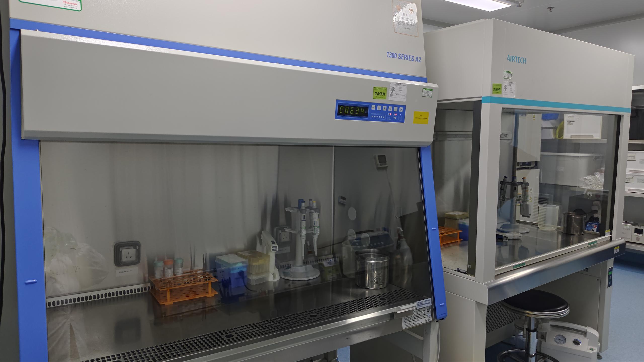 In Vitro Cell Culture & Analysis Platform